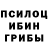 Псилоцибиновые грибы прущие грибы William Groenings