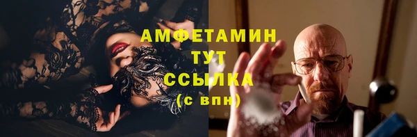 ГАЛЛЮЦИНОГЕННЫЕ ГРИБЫ Гусь-Хрустальный