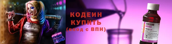 ГАЛЛЮЦИНОГЕННЫЕ ГРИБЫ Гусь-Хрустальный