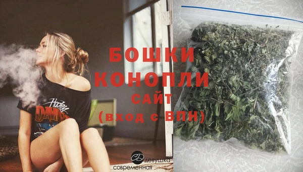 ГАЛЛЮЦИНОГЕННЫЕ ГРИБЫ Гусь-Хрустальный