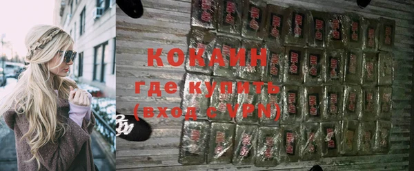 ГАЛЛЮЦИНОГЕННЫЕ ГРИБЫ Гусь-Хрустальный