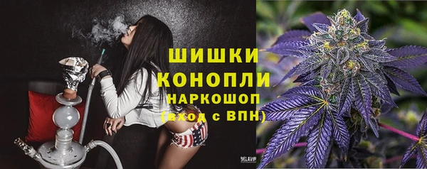 МДПВ Гусиноозёрск