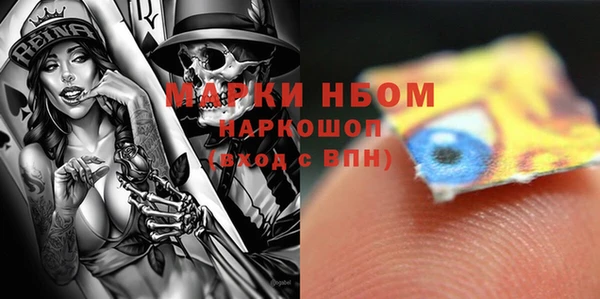 ГАЛЛЮЦИНОГЕННЫЕ ГРИБЫ Гусь-Хрустальный